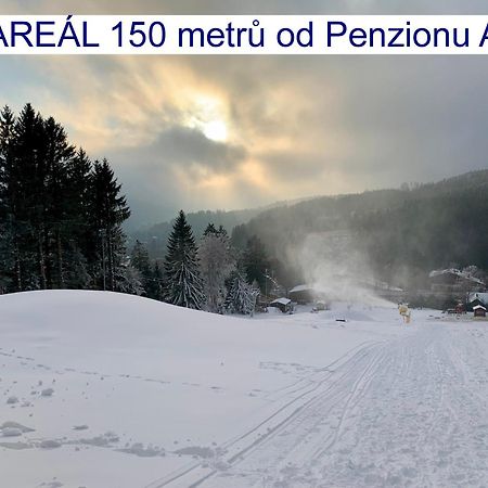 Penzion Alfa Železná Ruda Extérieur photo
