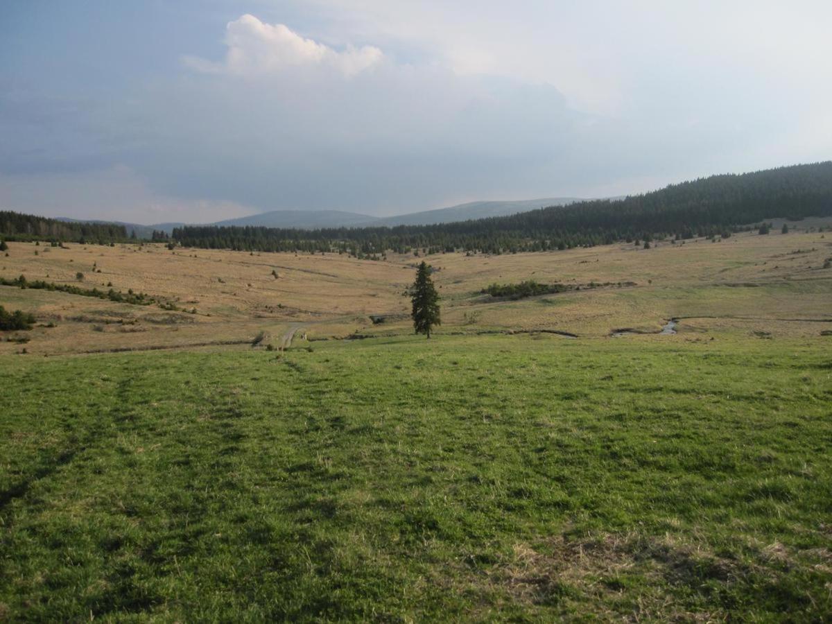 Penzion Alfa Železná Ruda Extérieur photo