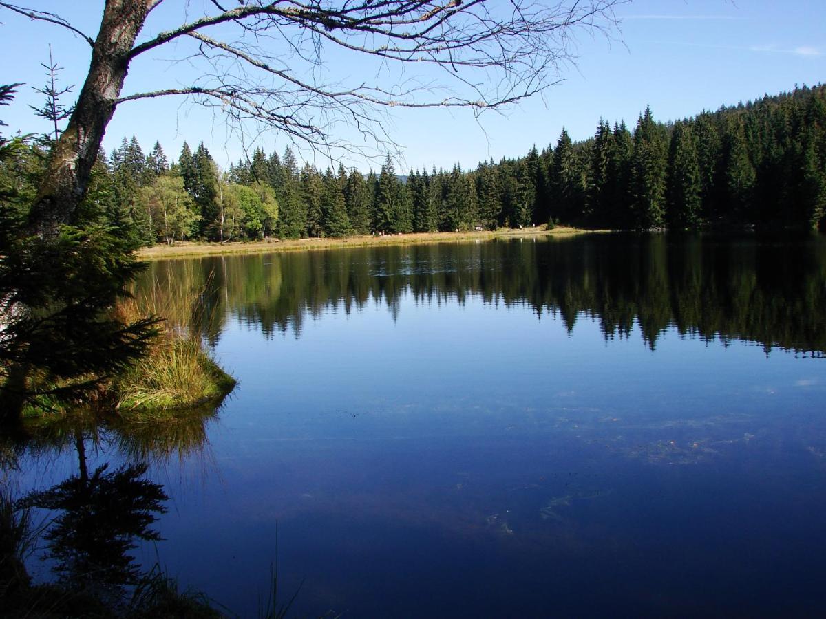 Penzion Alfa Železná Ruda Extérieur photo